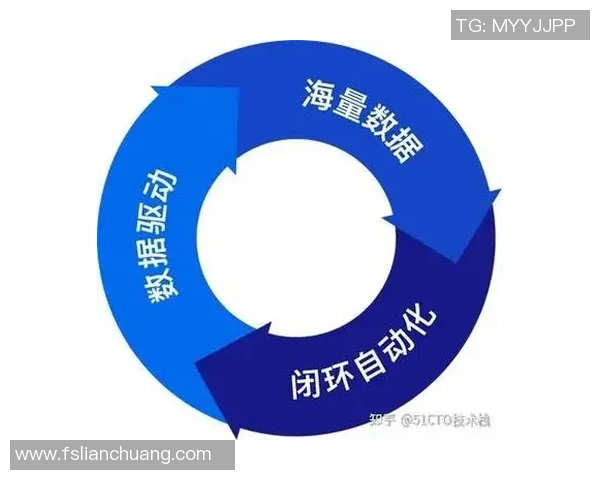 南京排球队快攻革新之路：战术变革与团队协作的完美结合